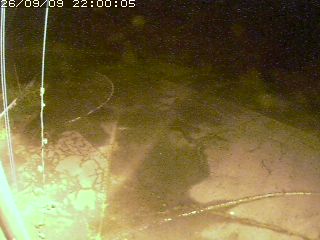 倉吉市河来見
