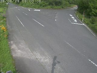 琴浦町野井倉