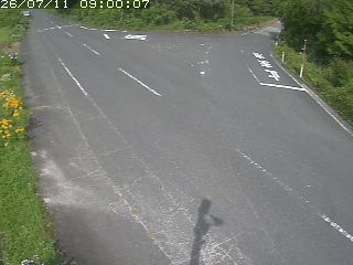 琴浦町野井倉