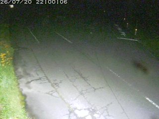 琴浦町野井倉