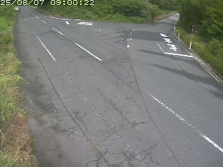 琴浦町野井倉