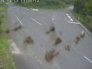 琴浦町野井倉