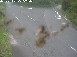琴浦町野井倉