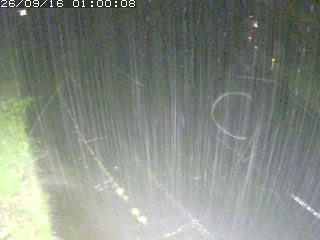 琴浦町野井倉