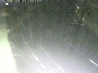 琴浦町野井倉