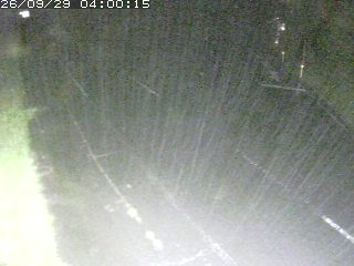 琴浦町野井倉