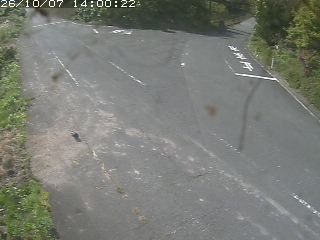 琴浦町野井倉