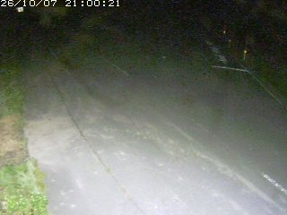 琴浦町野井倉
