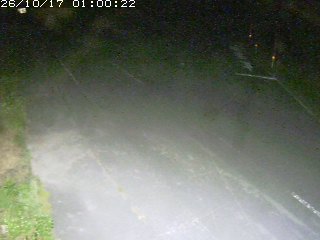 琴浦町野井倉