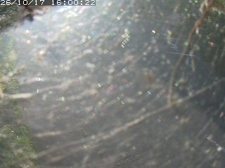 琴浦町野井倉