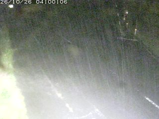 琴浦町野井倉
