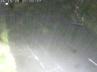 琴浦町野井倉
