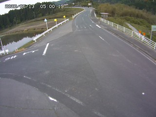 琴浦町三本杉