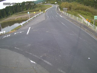 琴浦町三本杉