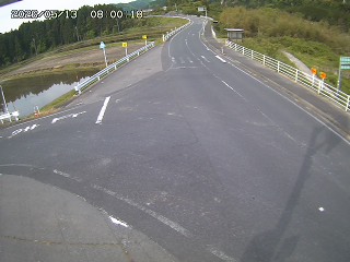 琴浦町三本杉