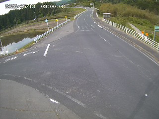 琴浦町三本杉