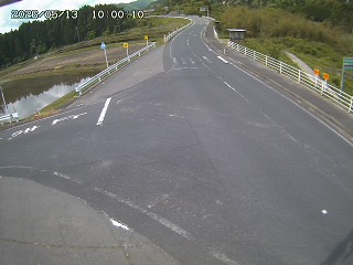 琴浦町三本杉