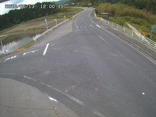 琴浦町三本杉