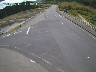 琴浦町三本杉