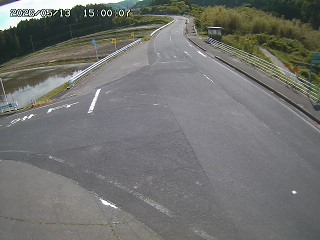 琴浦町三本杉