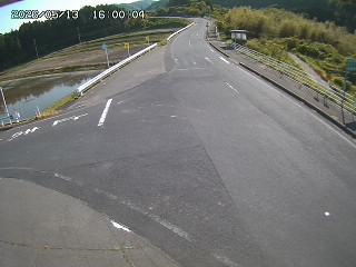 琴浦町三本杉