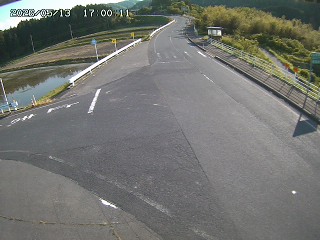 琴浦町三本杉