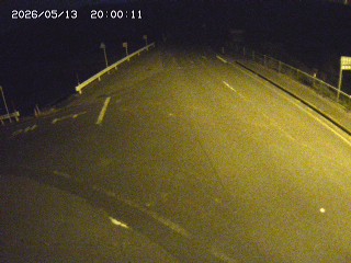 琴浦町三本杉