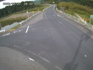 琴浦町三本杉