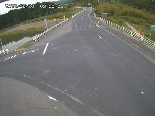 琴浦町三本杉