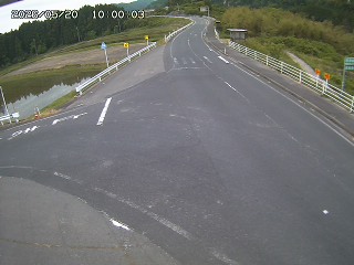 琴浦町三本杉