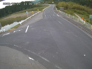琴浦町三本杉