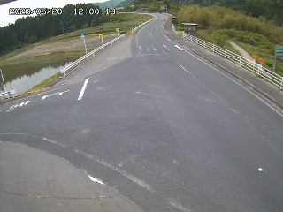 琴浦町三本杉
