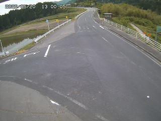 琴浦町三本杉