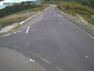 琴浦町三本杉