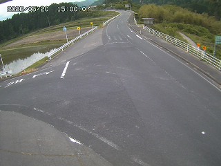 琴浦町三本杉