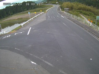琴浦町三本杉
