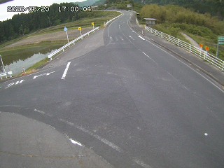 琴浦町三本杉