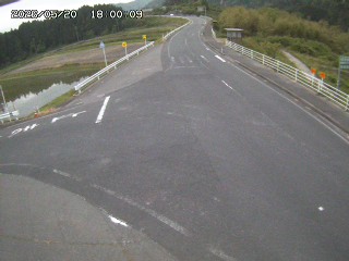 琴浦町三本杉