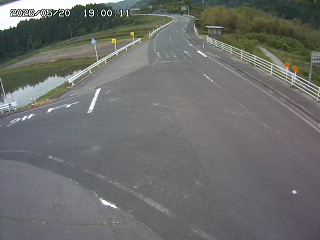 琴浦町三本杉