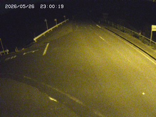 琴浦町三本杉