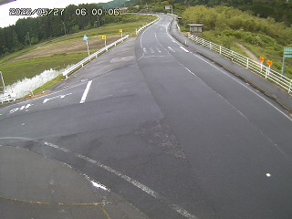琴浦町三本杉