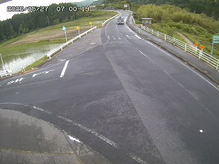 琴浦町三本杉