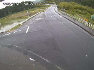 琴浦町三本杉