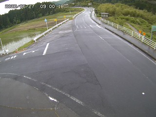 琴浦町三本杉