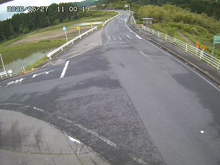 琴浦町三本杉