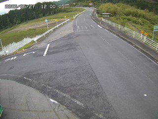 琴浦町三本杉