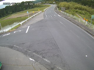 琴浦町三本杉