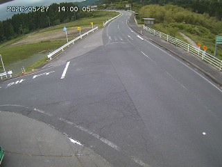 琴浦町三本杉