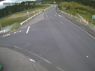 琴浦町三本杉