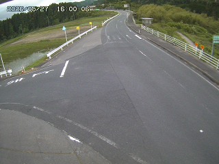 琴浦町三本杉